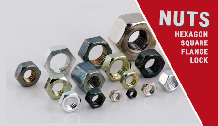 carriage bolts & hex nuts