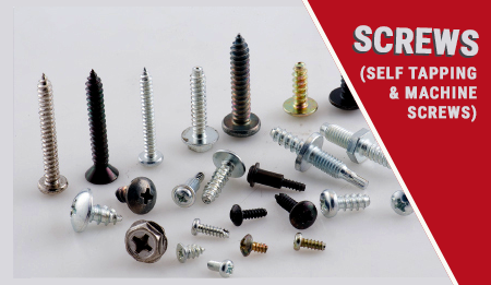 carriage bolts & hex nuts